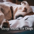 Dog Songs、Music for Dog's Ears、Dog Music Club - Dog Relaxation (feat. Music for Dog's Ears & Dog Music Club)
