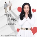魏新雨 - 可怜父母心 (DJ桃子版)