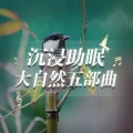 昼夜助眠 - 清晨小于鸟鸣