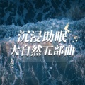 昼夜助眠 - 纯海浪音