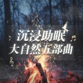昼夜助眠 - 柴火虫鸣