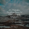 Meditacion Budista Maestros、Musica Relaxante、Meditación Interna - Espacio Feliz