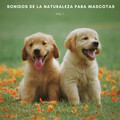 Academia de Música con Sonidos de la Naturaleza、Música Pura Para Perros、Ansiedad De Los Perros - Suaves Sonidos De Playa