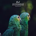 Natural Sample Makers、Nature Recordings、Natural Sound Makers - Lovely Bird