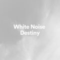 The Background Noise Company - White Noise Rhapsody
