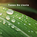 Sonidos De Truenos y Lluvia、Ambiente de Tormenta、Sonidos de lluvia y ruido de fondo - Experiencia Con Cristales Pacíficos