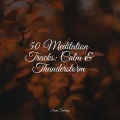 Sons da natureza HD、Water Soundscapes、Trouble Sleeping Music Universe - Rain, Leaves, Evening