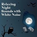 Nature Recordings、White Noise Therapy、Night Sounds Channel - Sound of Frogs Croaking by the River, White Noise