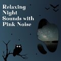Night Sounds Channel、Pink Noise for Sleep、Nature Recordings - Rainfall in the River - Pink Noise, Loopable