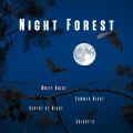 Mother Nature Sound FX、White Noise ASMR、Night Sounds - Birdhouse Storm (White Noise) Loopable