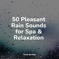 Sleep Meditation Dream Catcher、Musica Relaxante、Rain Sounds & White Noise - Beach, Far, Waves, Birds, Wind