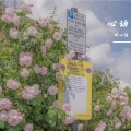 听心话 - 嘟嘟嘟嘟