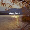 Reiki Tribe - Ambient Insight, Pt. 13