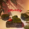 Beau - Crazy (Explicit)