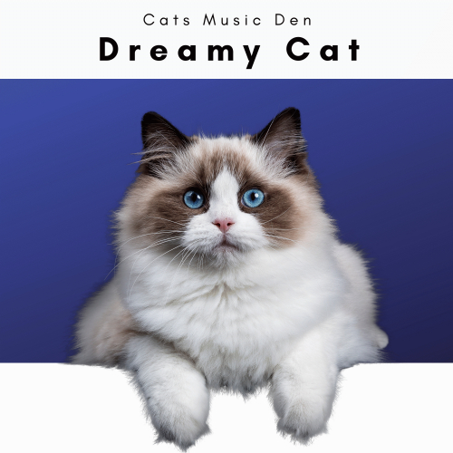 Cats Music Den、Sleep Cat、Music For Cats Peace、Cat Relax - Gentle Cat Noises for Deep Cat Relax
