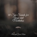 Música Zen Relaxante、Academia de Música con Sonidos de la Naturaleza、Study Power - Harmony Within