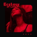 Romantic Restaurant Music Crew - Table for Two