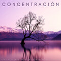 Naturaleza Sonidos、Meditaciones Espirituales、Ruido Blanco - Ritmos Para El Pensamiento