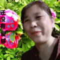 尹金凤 - 还没有爱够