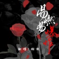 柏凝 - 易燃易爆炸