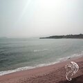 DJ Switch - By the Ocean