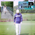 维斯李 - 还没有爱够