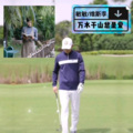 维斯李 - 万水千山总是爱