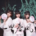 Ace组合 - 一里春风