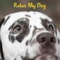 Soothing Dog Sounds、Sounds Dogs Love、Dog Music Club - The Turkish Ney