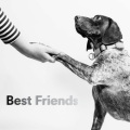Musique pour Chiens、Sleepy Dogs、Dog Music Club - Less Is More