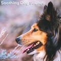 Dog Relaxation、Dog Calming Music、Sleepy Dogs - Space