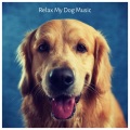 Sleepy Dogs、Dog Music Club、Dog Relaxation - Human and Feelings