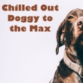 Sleepy Dogs、Dog Music Club、Dog Relaxation - Gravity