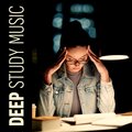 Study Ambient Club、Exam Study Music Academy - Harmony of Meadows and Fields