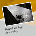 Bird Sounds、Sleep Tech、Cat Music - Binaural with Bugs Noise to Sleep - 3 Hours