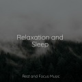 Sleep Songs 101、Academia de Meditação Buddha、Tinnitus Aid - Wind & Water