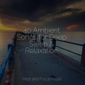 Alpha Brain Waves、Meditation Music Experience、Hipnose Natureza Sons Coleção - Crystal Gaze