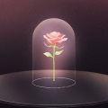 时砂 - Beauty and the Beast