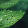 Tormentas Naturales、Relajantes sonidos de lluvia、Lluvia - Asombro Cotidiano