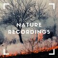 Natural Sample Makers、Natural Sound Makers、Nature Recordings - After Fire Calm