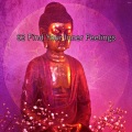Meditation Guru - 理智有保障
