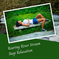 Meditation Music Playlist、White Noise Spa、Lofi Study - Roaring River Stream Deep Relaxation - 2 Hours
