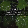 Relaxing Rain Sounds、Deep Sleep Relaxation - Meditation and Relax