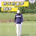 维斯李 - 昨天的美梦