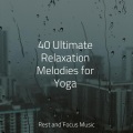 Spa & Spa、Meditation Zen、Relaxing Sleep Sound - Gentle Nights
