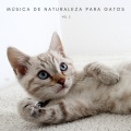 Música para gatos、Biblioteca de Música Para Mascotas、Relajacion - Jipi En La Naturaleza