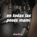 Sharboy - en todas las poses mami