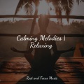 Classical New Age Piano Music、Musica Relaxante、The Sleep Helpers - Inner Calm
