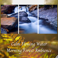 Baby Bedtime Lullaby、Soft Background Music、Bird Sounds - Calm Flowing Water Morning Forest Ambience - 2 Hours