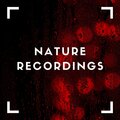 Natural Sample Makers、Natural Sound Makers、Nature Recordings - Light Night Rain
